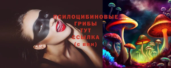МДПВ Алексин