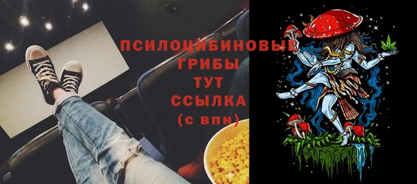 Альфа ПВП Алзамай
