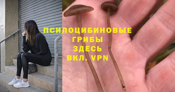 МДПВ Алексин
