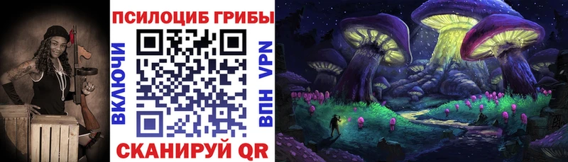 Псилоцибиновые грибы ЛСД  ссылка на мегу онион  Заинск 