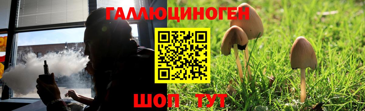Галлюциногенные грибы Psilocybine cubensis Заинск